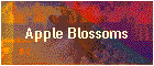 Apple Blossoms