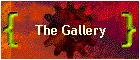 The Gallery