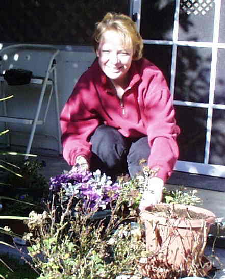 rozgarden2.jpg (32061 bytes)
