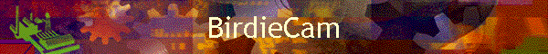 BirdieCam
