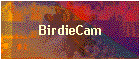 BirdieCam