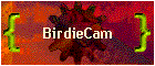 BirdieCam